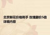北京鮮花價格刺手 玫瑰翻價5倍詳細內(nèi)容