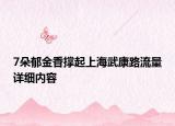7朵郁金香撐起上海武康路流量詳細(xì)內(nèi)容