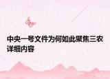 中央一號(hào)文件為何如此聚焦三農(nóng)詳細(xì)內(nèi)容