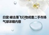 白宮:被擊落飛行物或是二手市場(chǎng)氣球詳細(xì)內(nèi)容