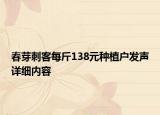 春芽刺客每斤138元種植戶發(fā)聲詳細(xì)內(nèi)容