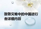 致敬災(zāi)難中的中國(guó)逆行者詳細(xì)內(nèi)容