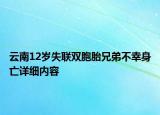 云南12歲失聯(lián)雙胞胎兄弟不幸身亡詳細內(nèi)容