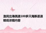 漁民出海偶遇100多只海豚逐浪嬉戲詳細(xì)內(nèi)容