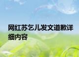 網(wǎng)紅蘇乞兒發(fā)文道歉詳細(xì)內(nèi)容