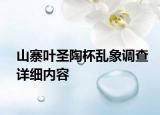 山寨葉圣陶杯亂象調(diào)查詳細(xì)內(nèi)容