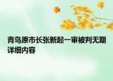 青島原市長張新起一審被判無期詳細(xì)內(nèi)容