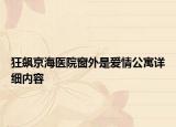 狂飆京海醫(yī)院窗外是愛情公寓詳細(xì)內(nèi)容