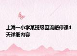 上海一小學(xué)某班級因流感停課4天詳細(xì)內(nèi)容