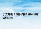 丁太升說《烏梅子醬》俗不可耐詳細(xì)內(nèi)容