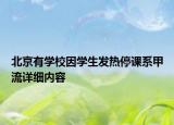 北京有學(xué)校因?qū)W生發(fā)熱停課系甲流詳細(xì)內(nèi)容