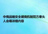 中俄戰(zhàn)略安全磋商機(jī)制雙方牽頭人會晤詳細(xì)內(nèi)容