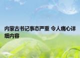 內(nèi)蒙古書(shū)記事態(tài)嚴(yán)重 令人痛心詳細(xì)內(nèi)容