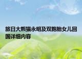 旅日大熊貓永明及雙胞胎女兒回國(guó)詳細(xì)內(nèi)容