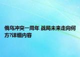 俄烏沖突一周年 戰(zhàn)局未來走向何方?詳細(xì)內(nèi)容