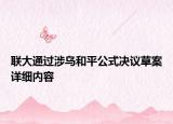 聯(lián)大通過涉烏和平公式?jīng)Q議草案詳細(xì)內(nèi)容