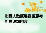 消費(fèi)大數(shù)據(jù)展露暖意與新意詳細(xì)內(nèi)容