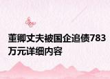 董卿丈夫被國企追債783萬元詳細內(nèi)容