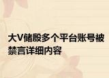 大V儲殷多個平臺賬號被禁言詳細(xì)內(nèi)容
