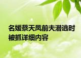 名媛蔡天鳳前夫潛逃時(shí)被抓詳細(xì)內(nèi)容