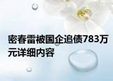 密春雷被國企追債783萬元詳細(xì)內(nèi)容