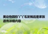 美動物園稱丫丫毛發(fā)稀疏是家族遺傳詳細(xì)內(nèi)容