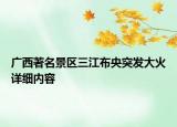 廣西著名景區(qū)三江布央突發(fā)大火詳細(xì)內(nèi)容