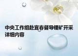 中央工作組赴宜春督導(dǎo)鋰礦開采詳細(xì)內(nèi)容