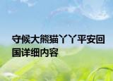 守候大熊貓丫丫平安回國詳細(xì)內(nèi)容