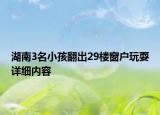 湖南3名小孩翻出29樓窗戶玩耍詳細內(nèi)容