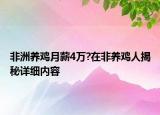 非洲養(yǎng)雞月薪4萬?在非養(yǎng)雞人揭秘詳細內(nèi)容