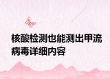 核酸檢測也能測出甲流病毒詳細(xì)內(nèi)容