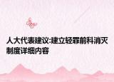 人大代表建議:建立輕罪前科消滅制度詳細內(nèi)容