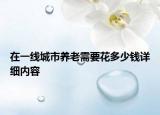 在一線城市養(yǎng)老需要花多少錢詳細(xì)內(nèi)容