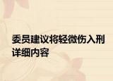 委員建議將輕微傷入刑詳細(xì)內(nèi)容