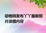 動(dòng)物園發(fā)布丫丫最新照片詳細(xì)內(nèi)容