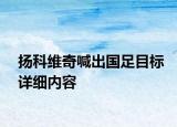 揚(yáng)科維奇喊出國(guó)足目標(biāo)詳細(xì)內(nèi)容
