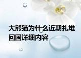 大熊貓為什么近期扎堆回國(guó)詳細(xì)內(nèi)容