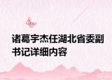 諸葛宇杰任湖北省委副書(shū)記詳細(xì)內(nèi)容