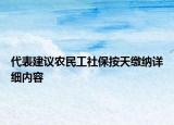 代表建議農(nóng)民工社保按天繳納詳細內(nèi)容