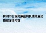 株洲市公安局原副局長凌婭主動投案詳細內(nèi)容
