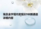 埃及金字塔內(nèi)發(fā)現(xiàn)長9米新通道詳細內(nèi)容