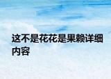 這不是花花是果賴詳細內(nèi)容