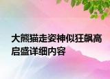 大熊貓走姿神似狂飆高啟盛詳細(xì)內(nèi)容