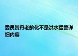 委員賀丹老齡化不是洪水猛獸詳細(xì)內(nèi)容