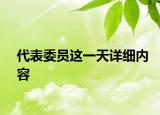 代表委員這一天詳細內容