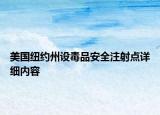 美國紐約州設毒品安全注射點詳細內容