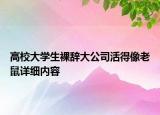 高校大學(xué)生裸辭大公司活得像老鼠詳細(xì)內(nèi)容