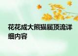 花花成大熊貓屆頂流詳細(xì)內(nèi)容