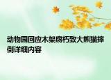動物園回應木架腐朽致大熊貓摔倒詳細內(nèi)容